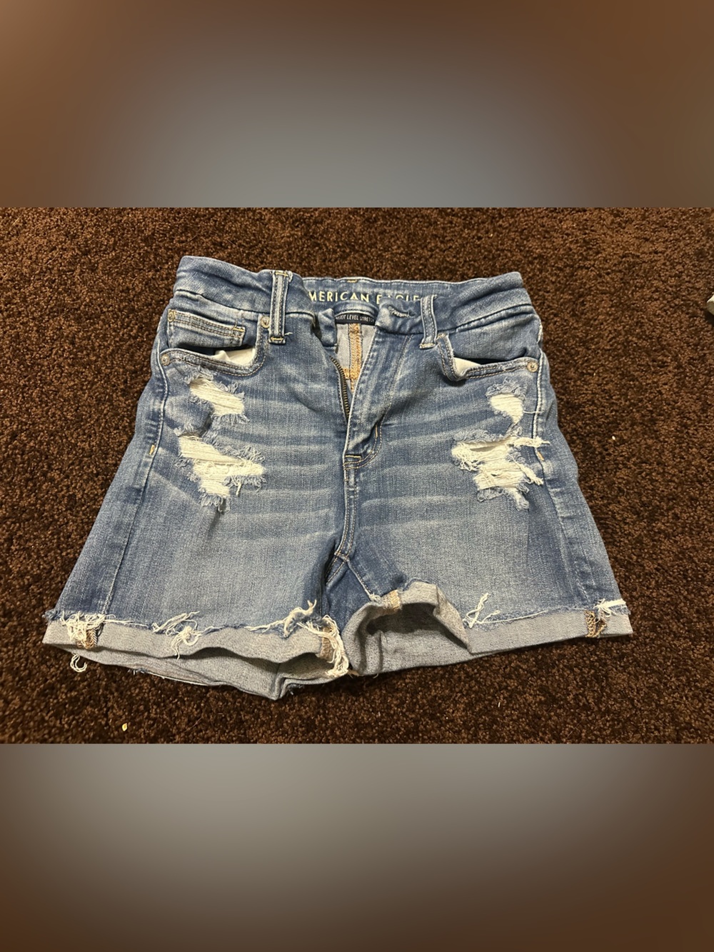 American Eagle Outfitters Ripped Light Blue Denim Shorts